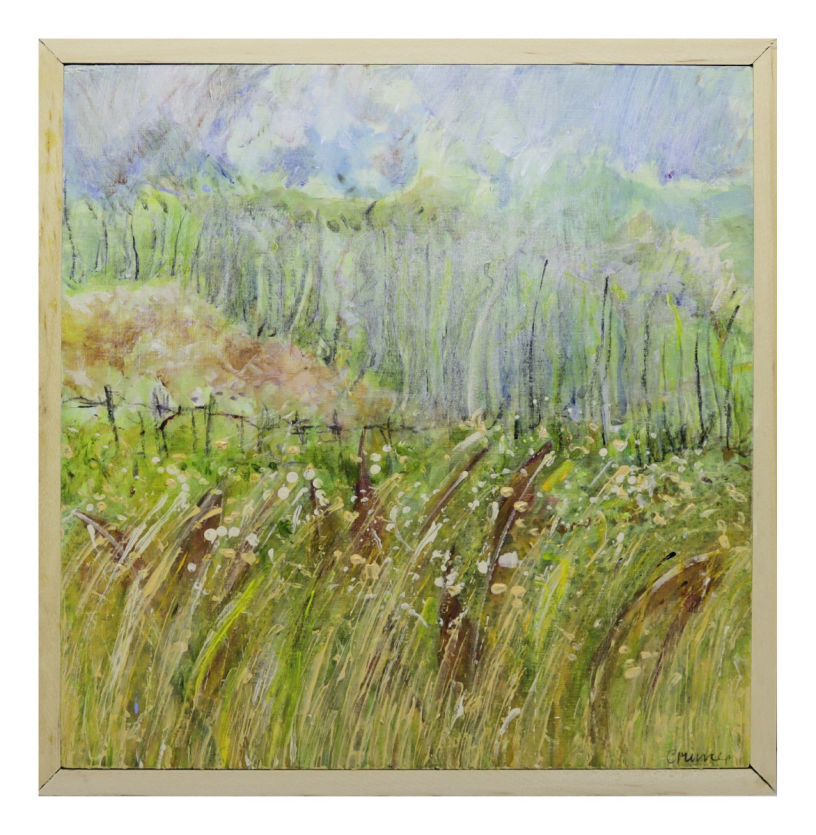 A WALK BECOMES A DISCOVERY 7